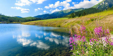 生辰八字看财运：八字食伤生财，未来的财运事业运势走向如何？