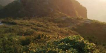 近期，四大生肖小金库满满，财富蜂拥而至，兴旺发达