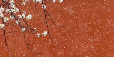 中戏最火网红，颜值太高了吧！