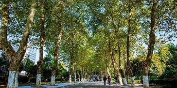 当年，大学校园可以自由进出