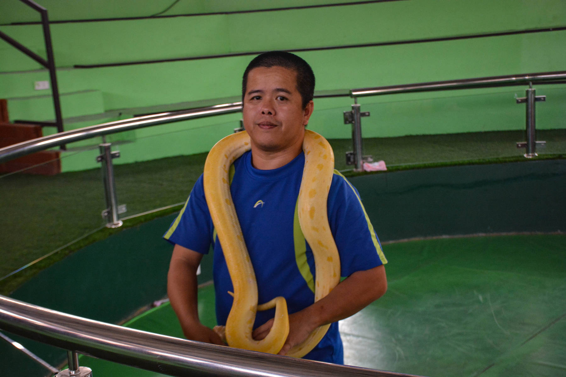 【高清图】泰国皇家毒蛇研究中心戏蛇-中关村在线摄影论坛