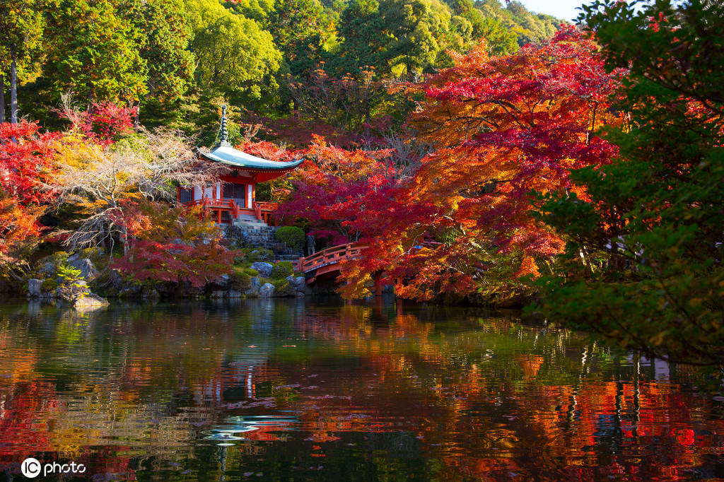 日本佛教真言宗醍醐派的总寺——醍醐寺搜狐大视野搜狐新闻