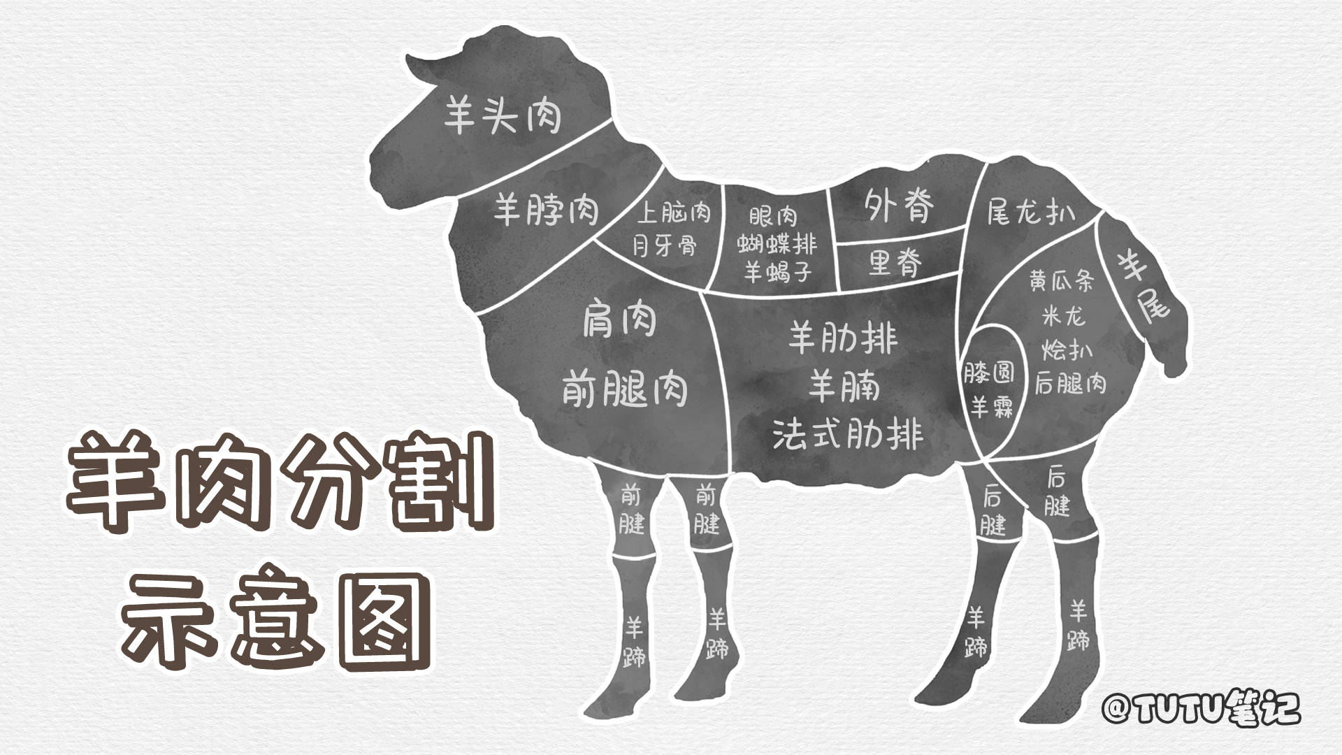 超全的羊肉分类图文笔记 不同部位羊肉名称和吃法-搜狐大视野-搜狐新闻