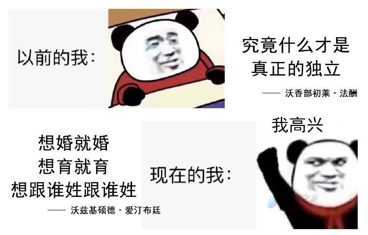 不婚不育冠母姓才是真女权?抱歉,这一次我不能"打拳"了