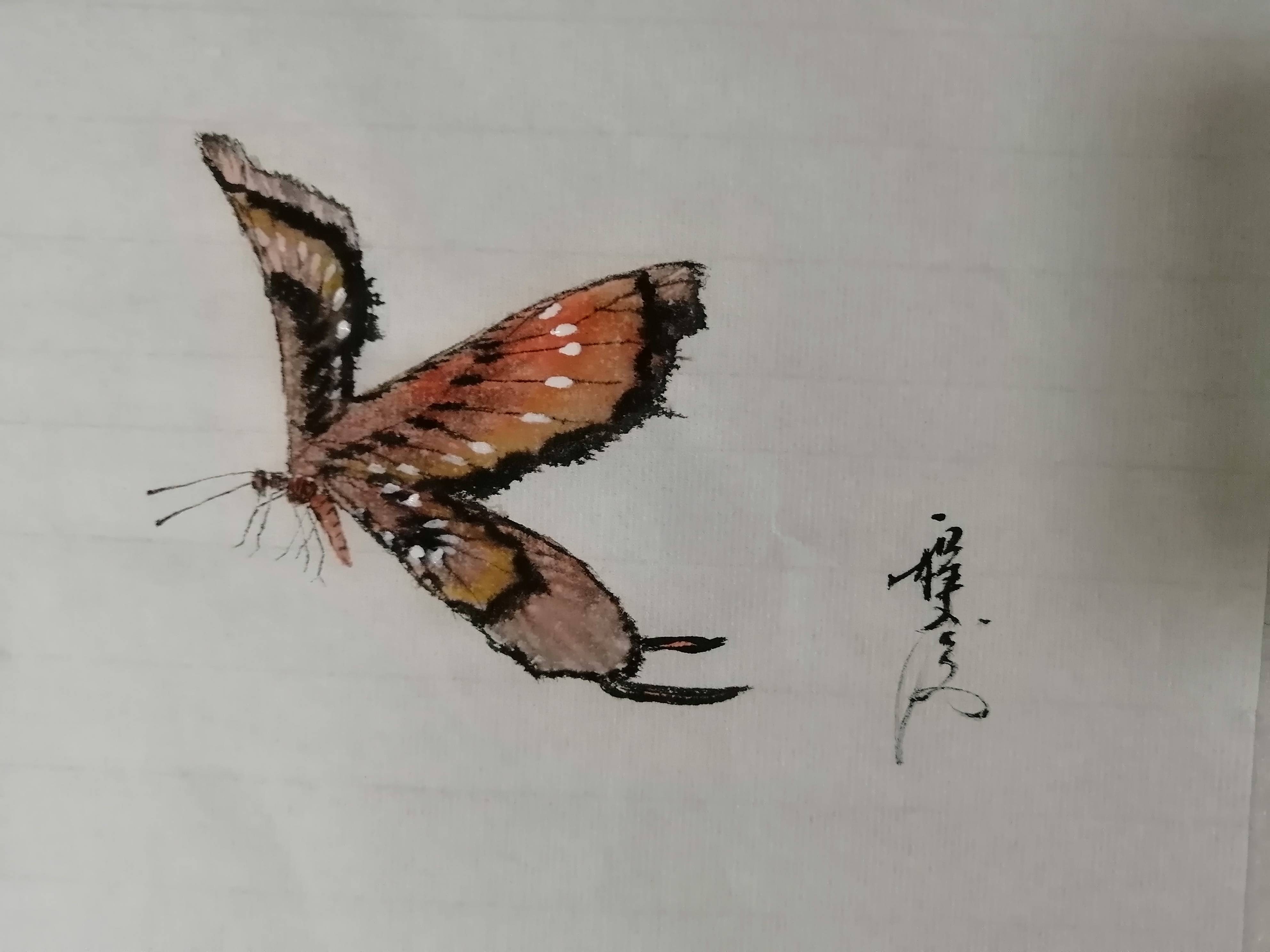 国画写意水墨花蝴蝶用笔精湛生动形象