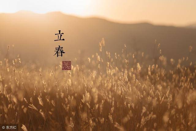 寡妇年是什么意思,2020年为什么是寡妇年-团团金服
