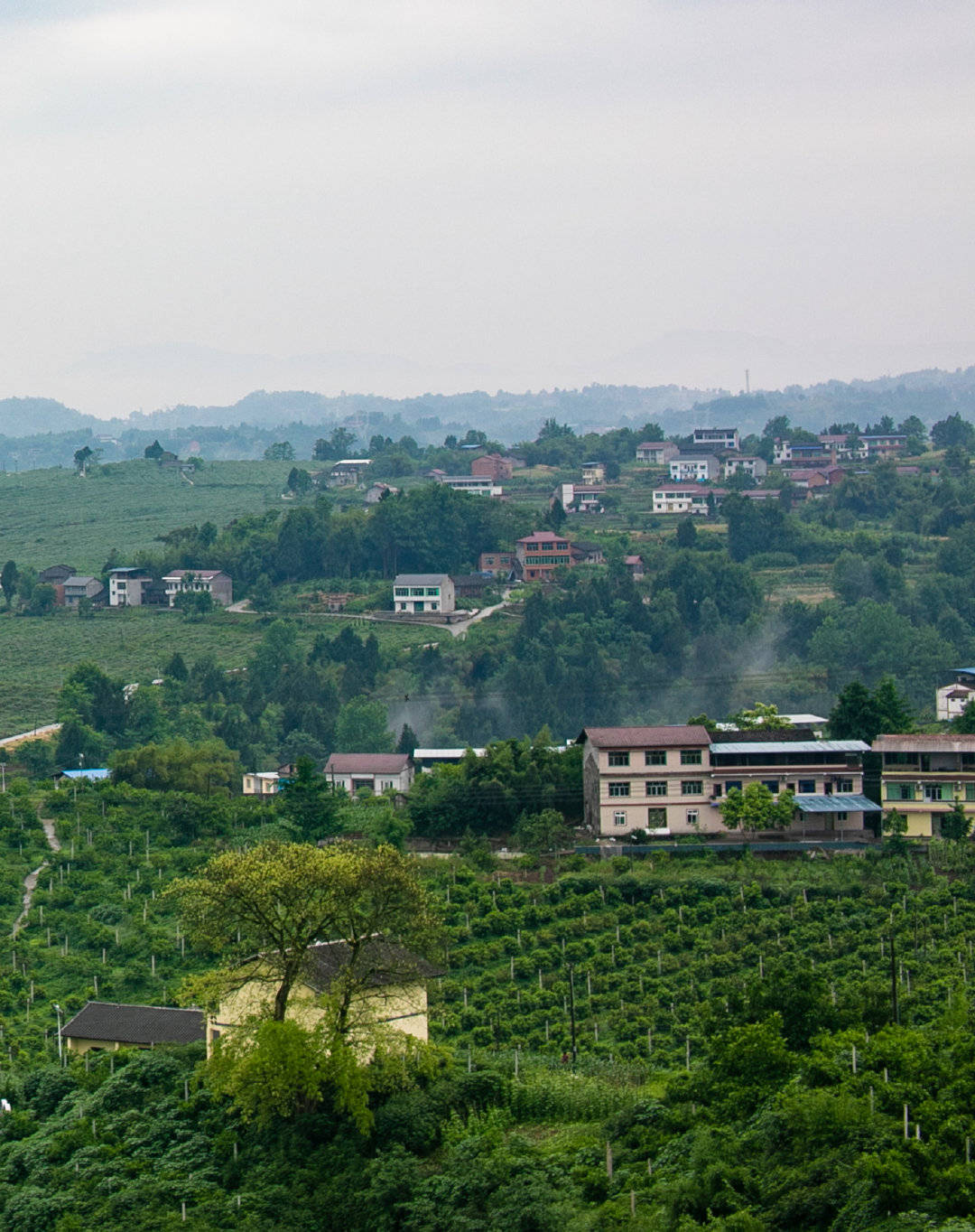 在忠州新立镇,我感受到了田园生活的魅力!