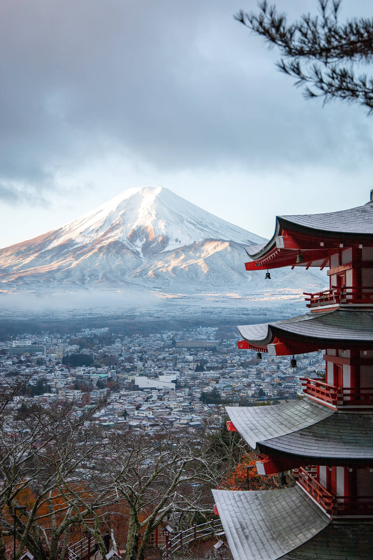 1/ 6 静冈县5月18日宣布县管理的三条登山道-富士宫,须走及御殿场五合