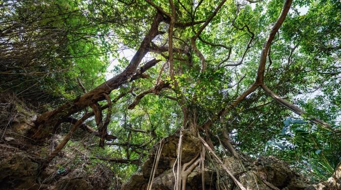 雷军找来刘耀平取代李肖爽，能戳破小米电视规模天花板吗？-家电圈官网