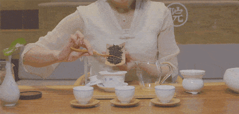 如果不懂这些泡茶礼仪动作再优雅也算没入门