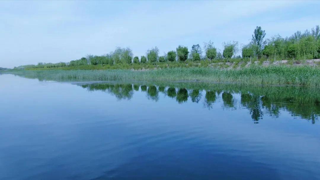 大连永宁图片