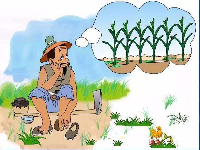 作家型教师李窝窝:作文扩写,三二法则让文章"枝繁叶茂"