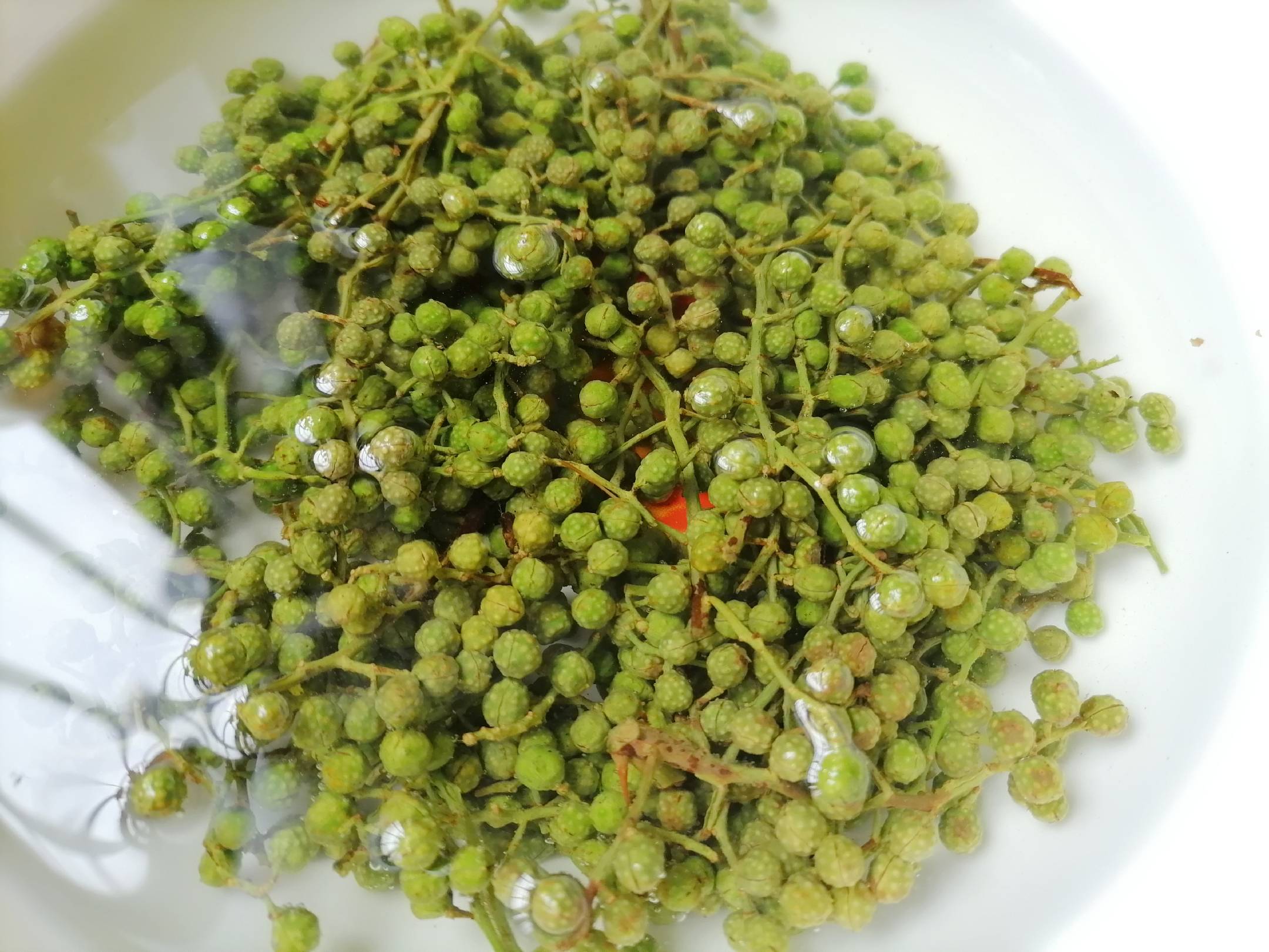 1,鲜藤椒在清水中清洗干净,将表面的灰尘,叶子以及刺和较老的杆儿去掉