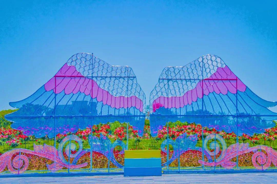 干货瑞金红都幸福花海的五月赏花指南