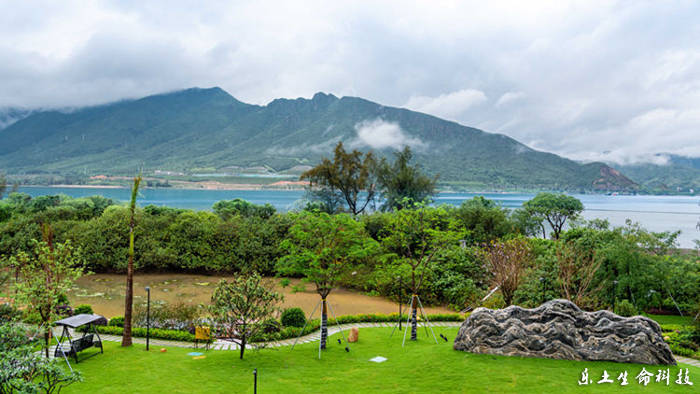 坝光|乐土沃森生命科技中心落成庆典在大鹏新区隆重举行