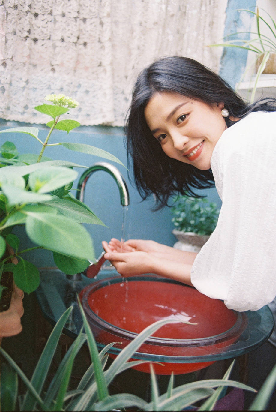 蔷薇花开摄影师张绍增