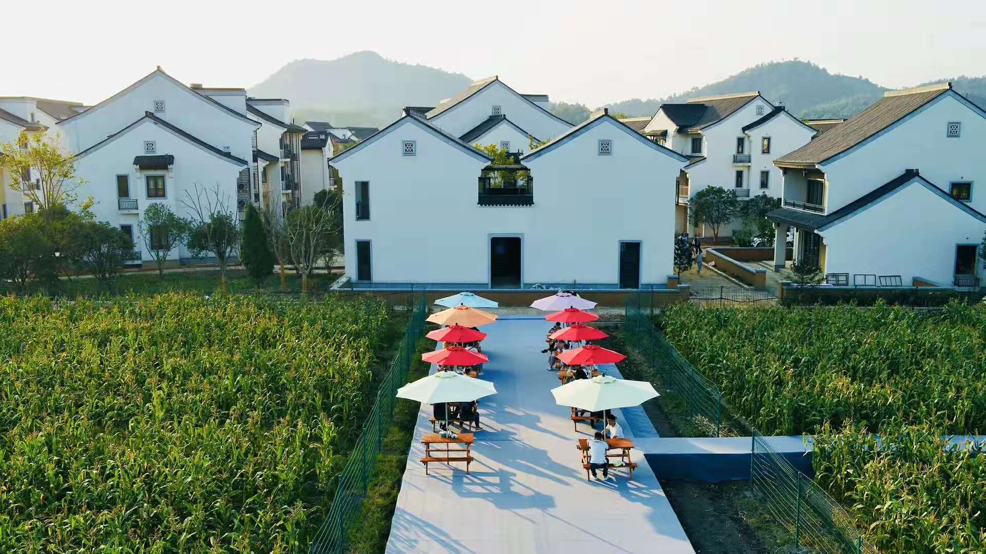 原创民宿这般小清新,还有我喜欢它的屋顶设计