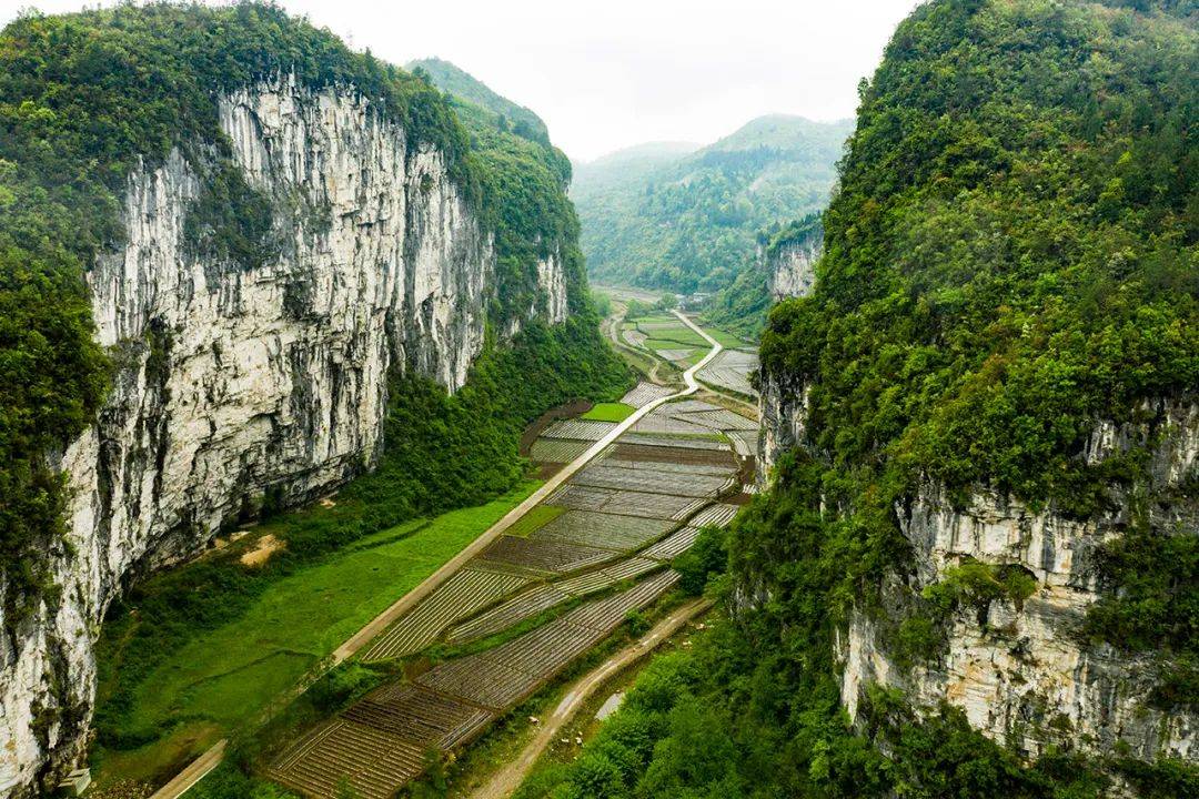 想要露营去哪里!