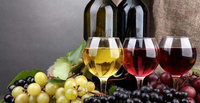 美国纳帕酿酒葡萄