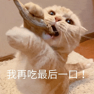 爆可爱的萌宠表情包看什么看啊没看过别人亲热吗