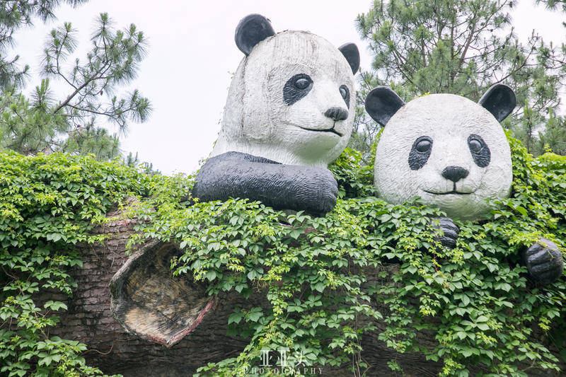 向医护人员致敬,零感染旅行地:浙江安吉2日游(医护人员免票)