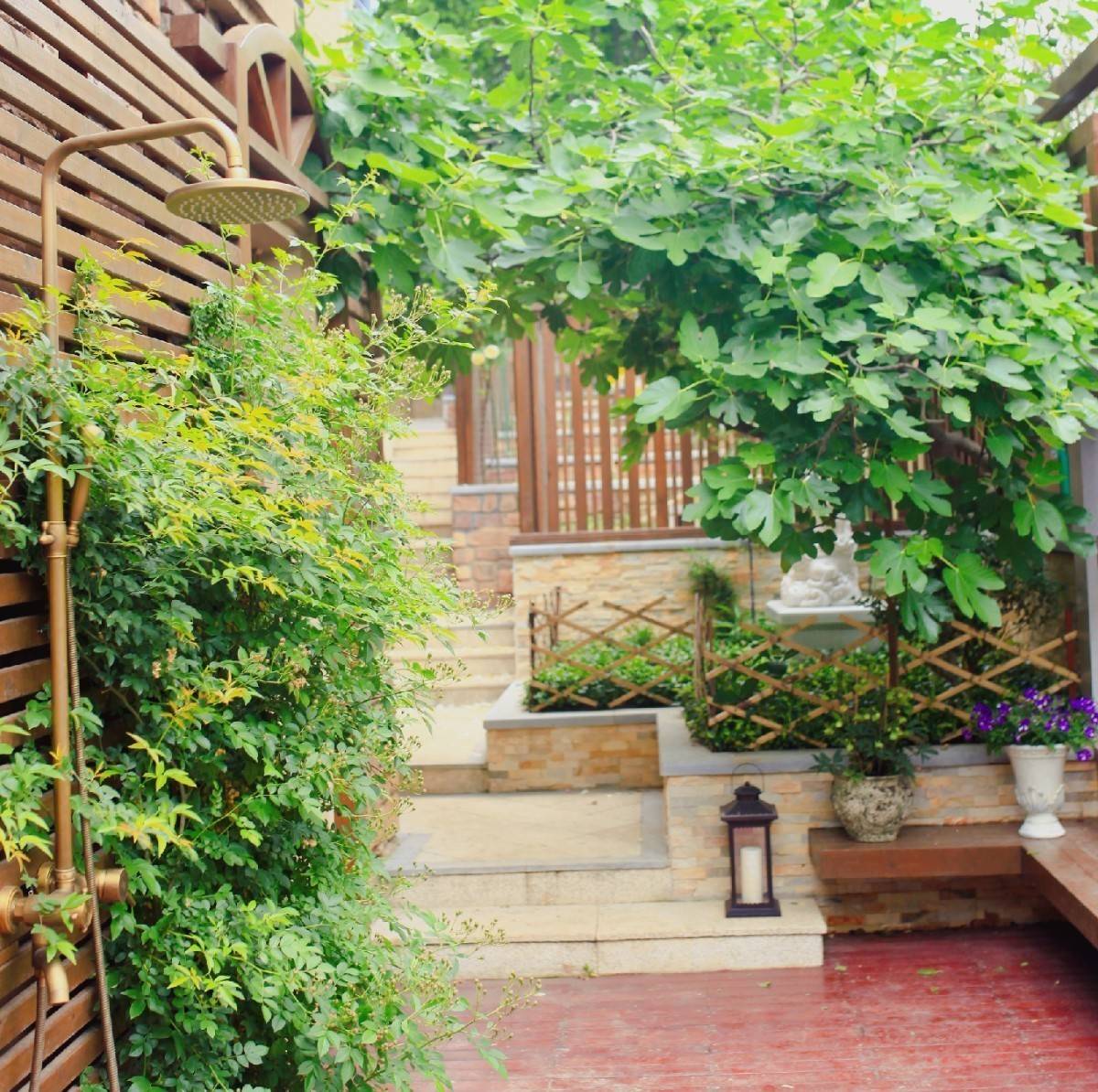 小院蔷薇开,揽清风入怀_手机搜狐网