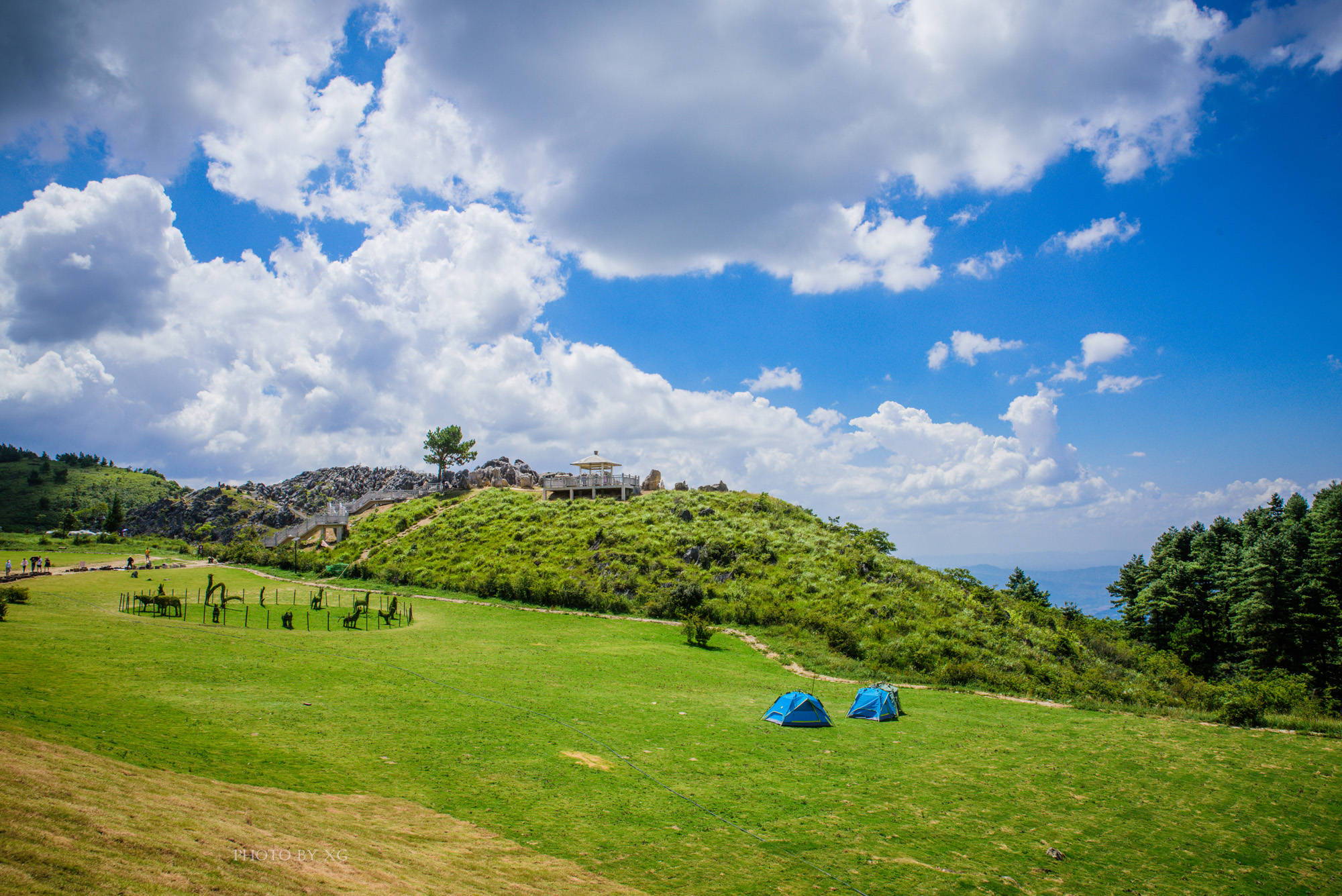 原创重庆不能错过的最美草场,夏季绝佳的避暑胜地,平均气温为23