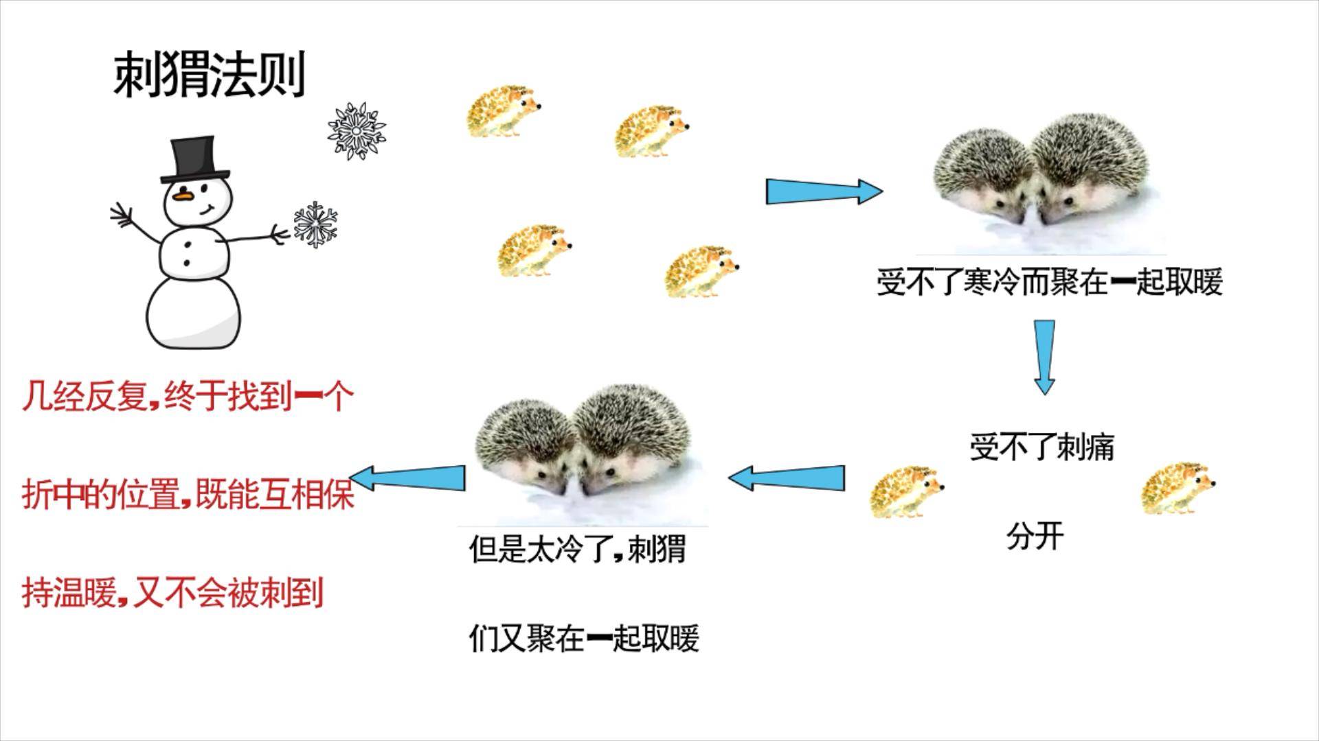 刺猬理论的三环图图片