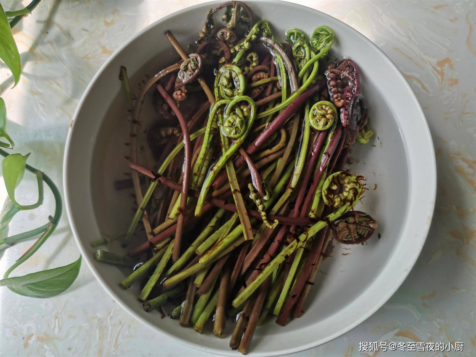 产地分布上还是存在一定差异,猴腿菜和蕨菜的区别是猴腿菜茎部是有毛