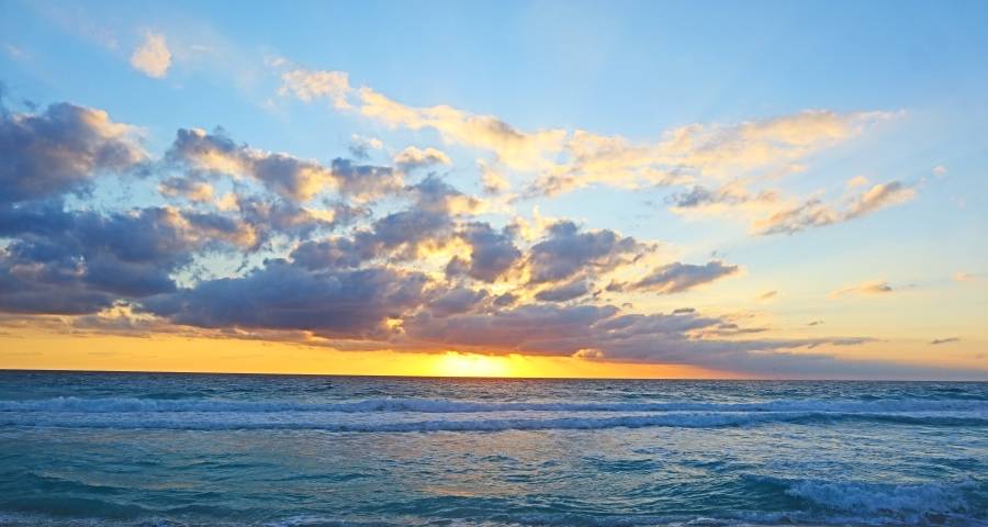 电水壶小品类为何巨头云集：美的苏泊尔九阳主导，小米海尔争抢-家电圈官网