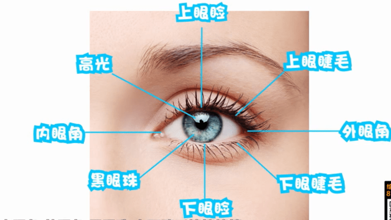 cg绘画小白入门必看!_眼睛