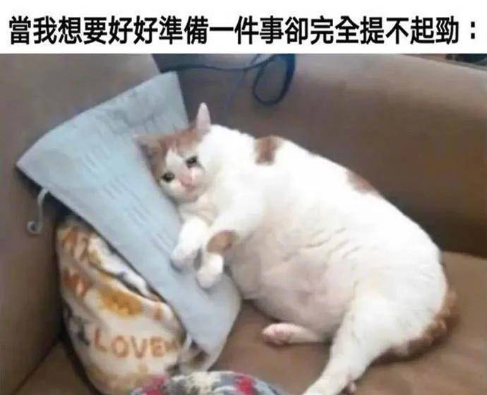 图片[35] - 【xizi被窝段子20200529】生活是苦难的 我又划着断桨出发 - xizi