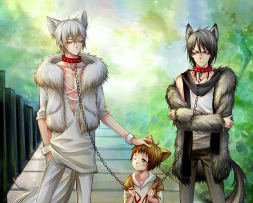 原创大触将动物画成动漫角色,猫咪也可以是萌女仆,难怪二哈这么受宠