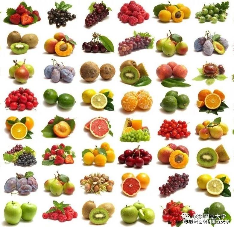 零基础学老挝语水果类篇