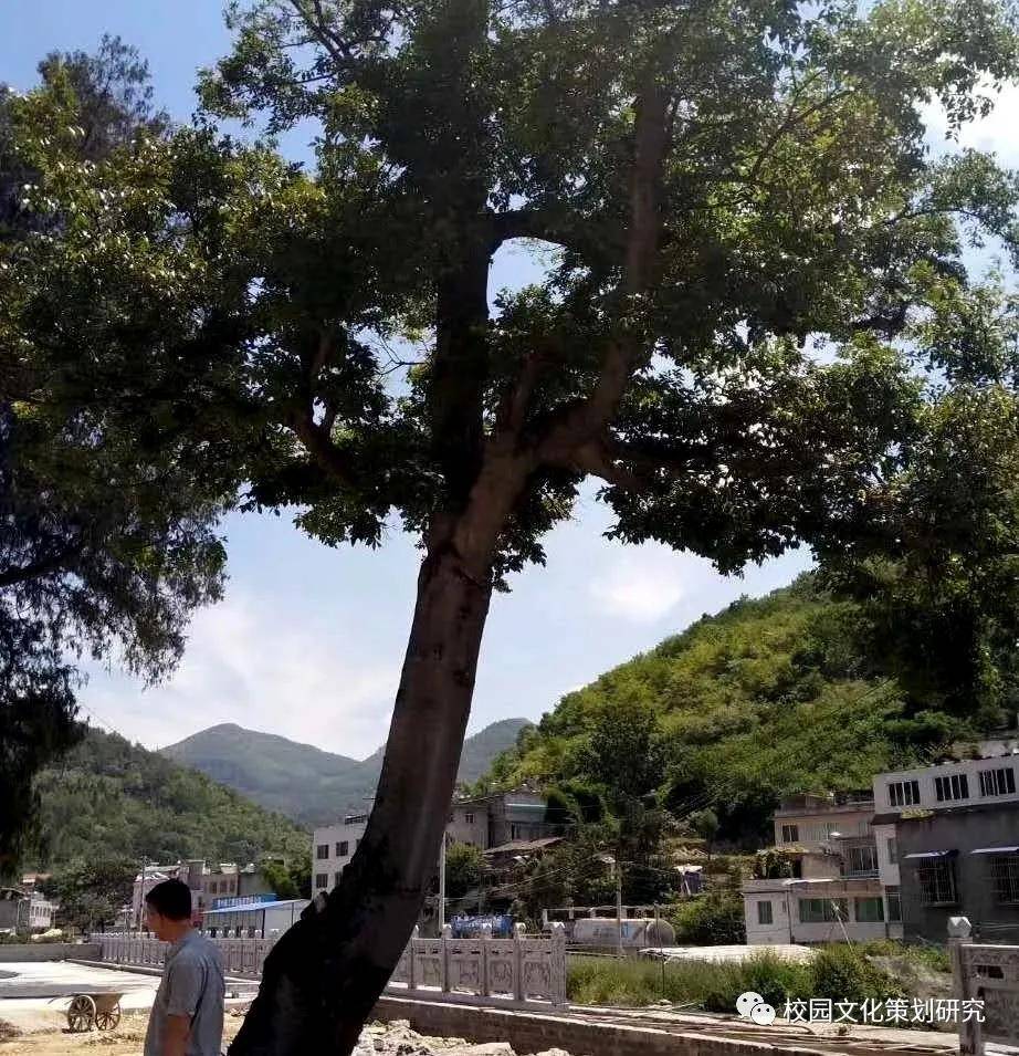 贵州校园文化建设 | 做一条有方向的小溪——遵义市河溪小学校园景观