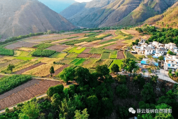 阿迭:蜂虎新家遇新人——新平县漠沙镇阿迭村打鸟微日记