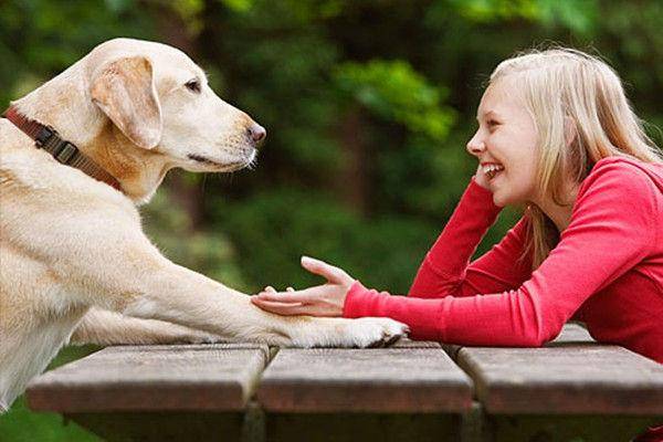 我们虽然不能和狗狗进行语言上的交流,但是和狗狗聊天,是个有意思的