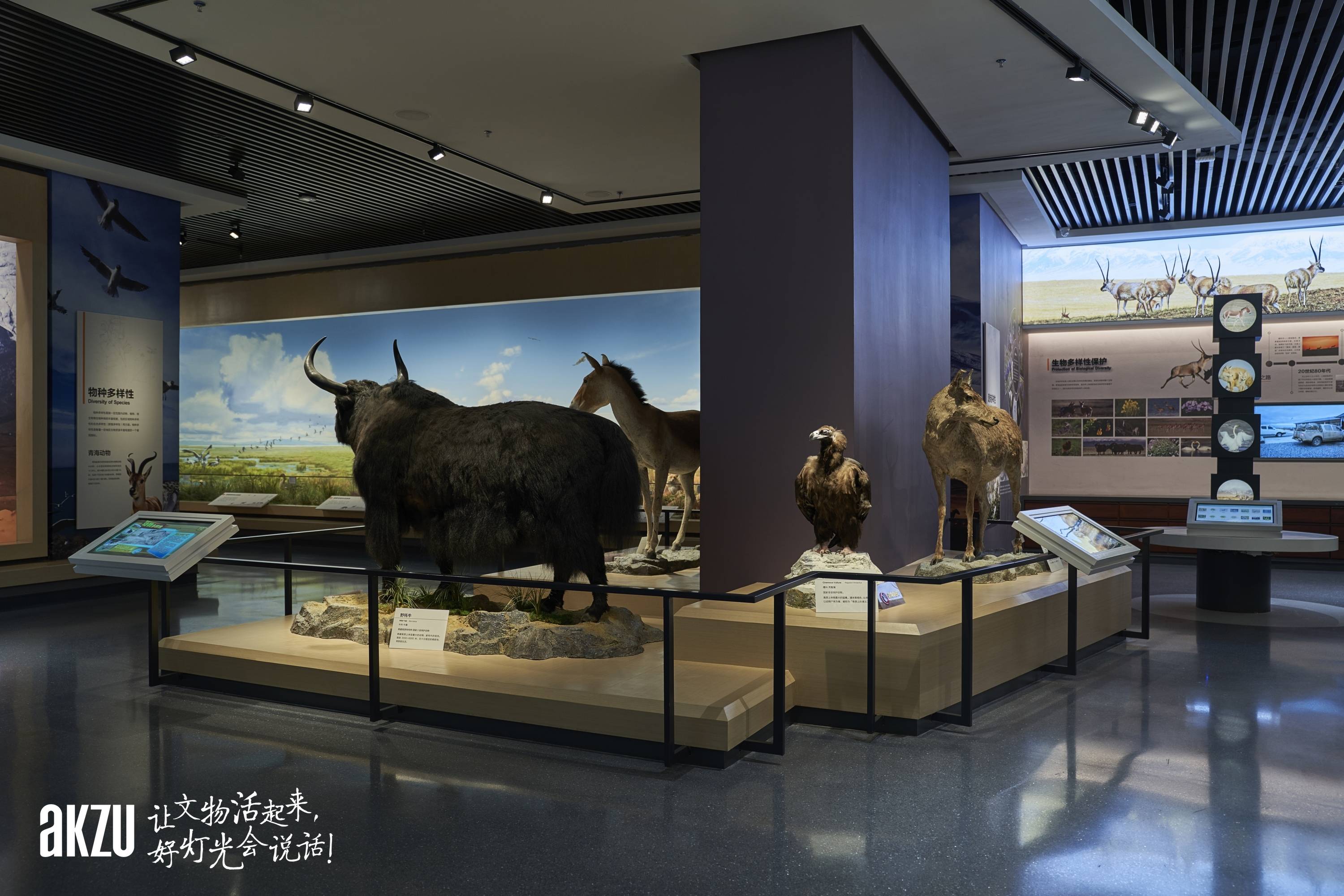青海省自然资源博物馆图片
