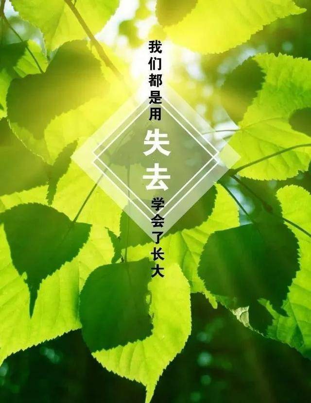 原創適合發朋友圈的經典語錄心情句子 句句穿透人心!