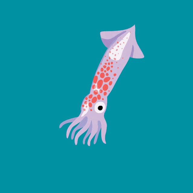 障泥乌贼这位乌贼之王有点甜