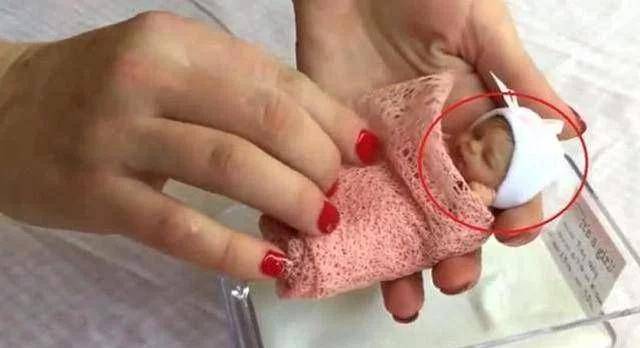 世界上最小的母亲图片图片
