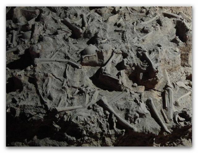 纸上谈兵的赵括根源责任在于赵奢谈谈父亲对孩子教育的重要性