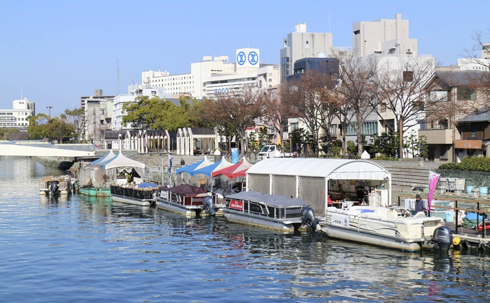 所实施的律令制时期的确是指分属在南海道中的「赞岐国」,「阿波国」