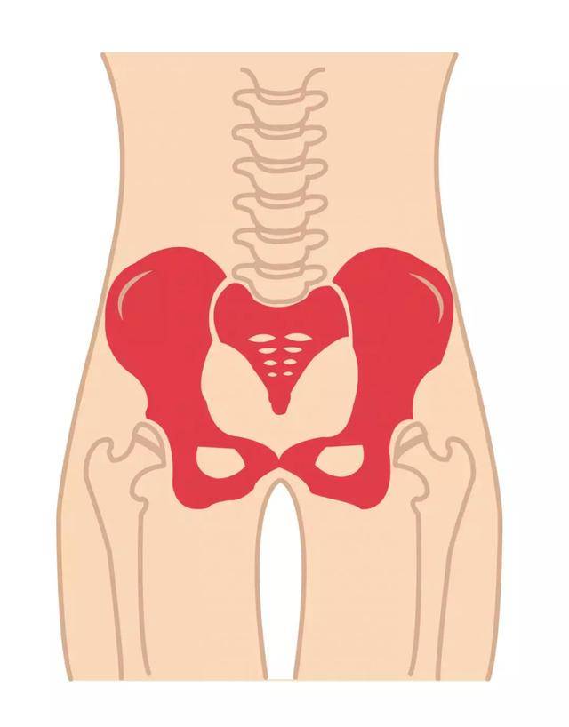 产后恢复三大必修课,按这个顺序做,效果大不同!