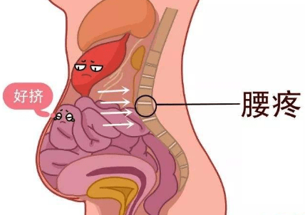 子宫和肚脐的位置图片图片
