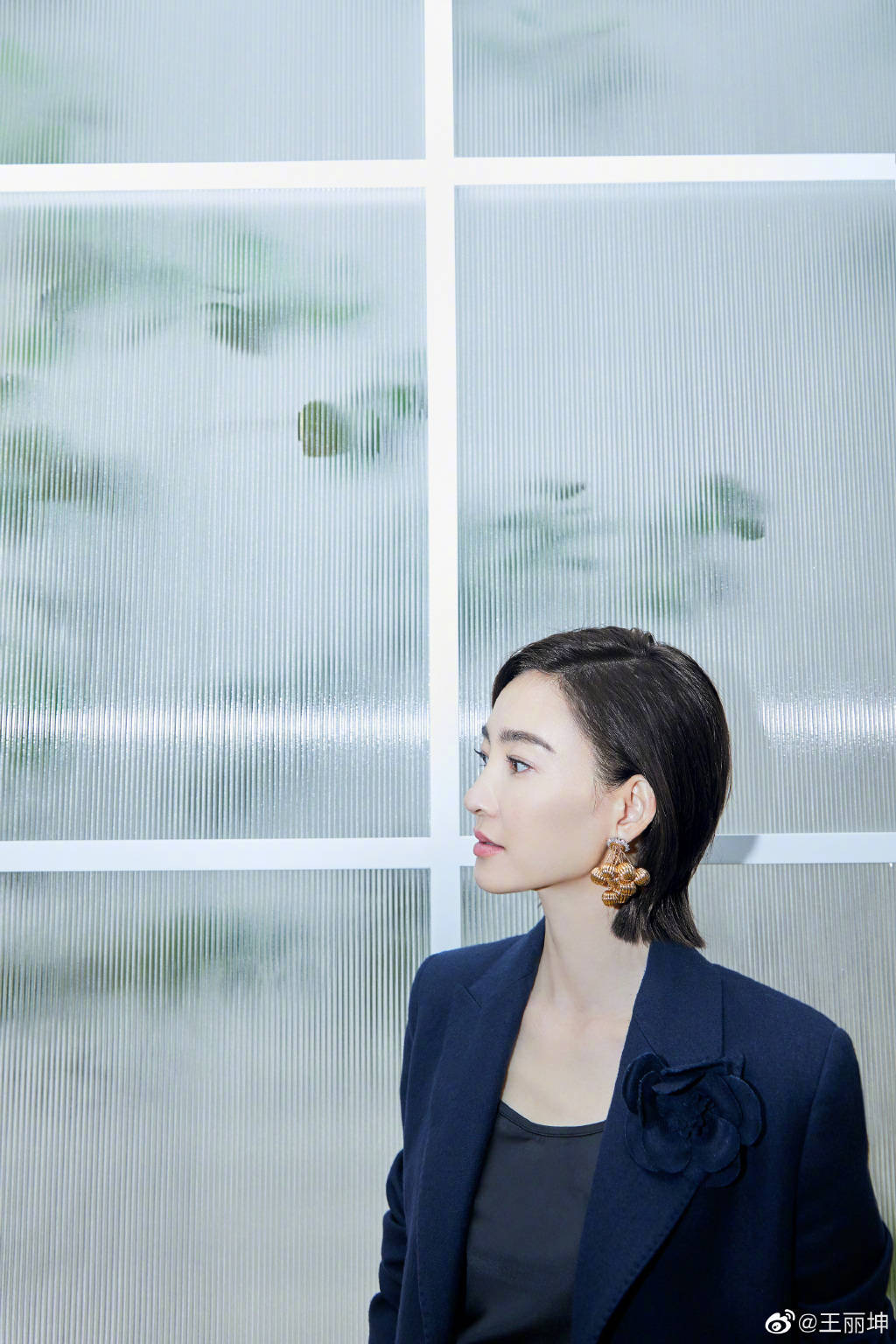 美女王丽坤迪奥专辑