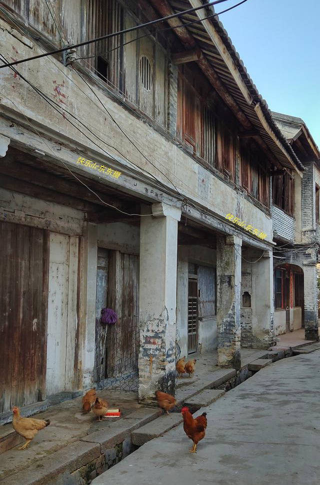 广东省梅州市大埔县湖寮镇莒村,一个很怀旧的村庄,百年老屋多得让人