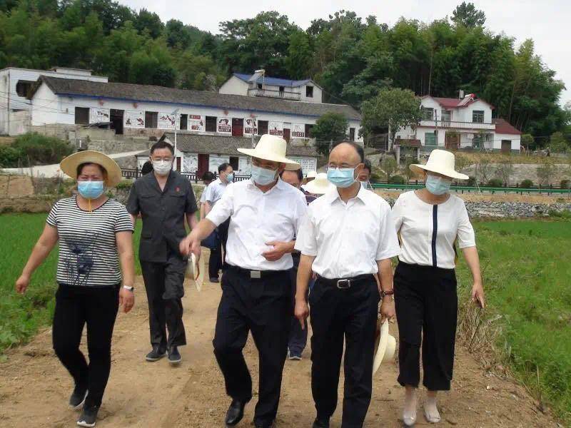 湖北省高院院长游劝荣到英山县调研脱贫攻坚和诉前调解工作