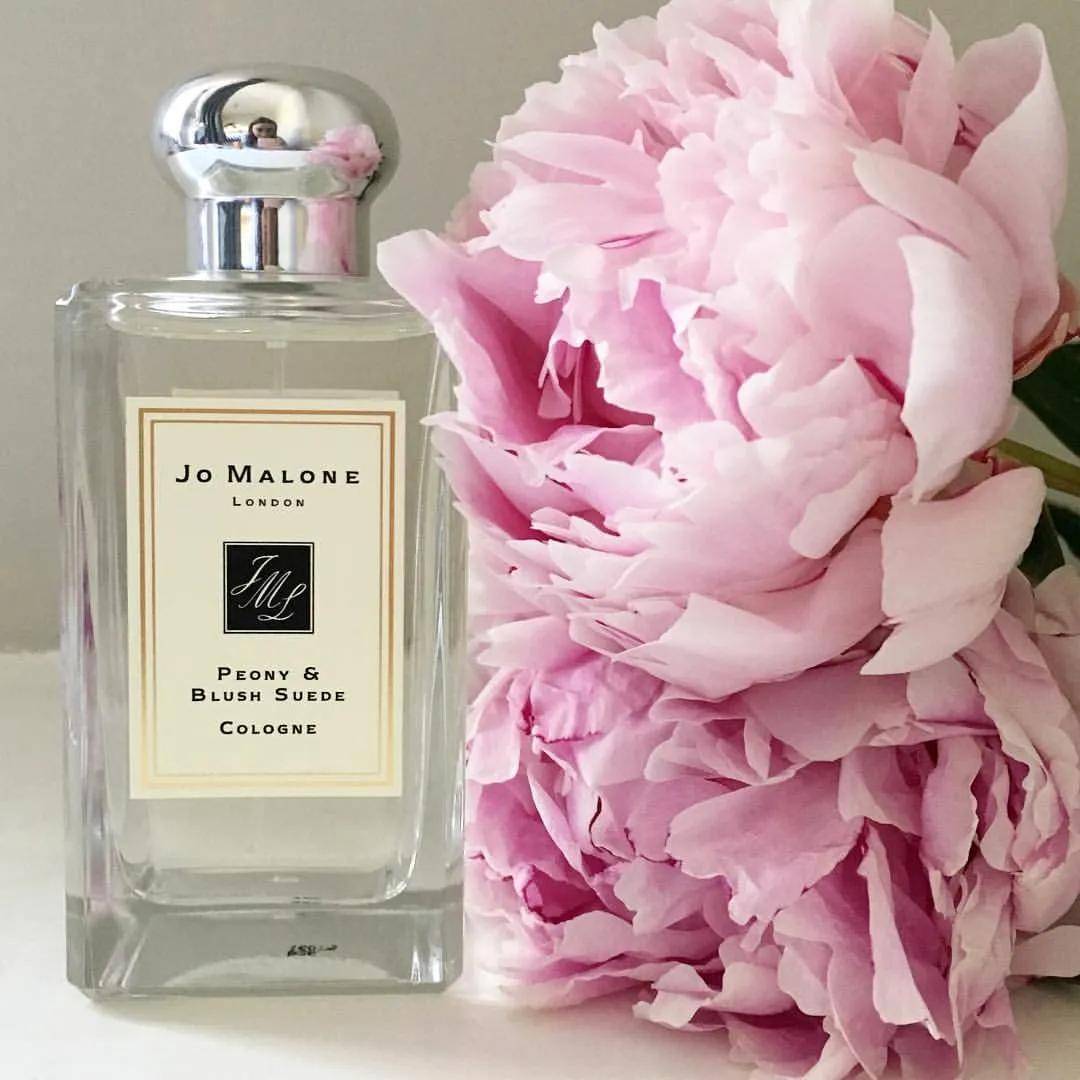 牡丹香料在香水里,总带着脂粉气,所以用得好是高贵,用不好就容易流于