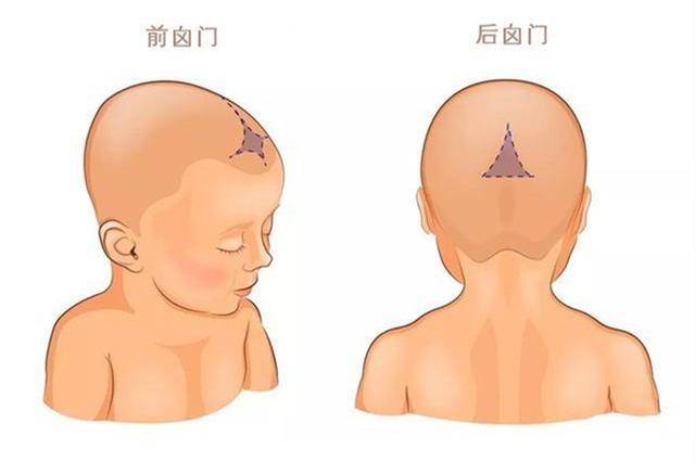 宝宝囟门闭合太早,对大脑发育有影响,有这三种情况要重视